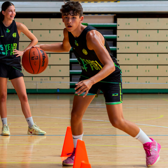 BASKET PRO