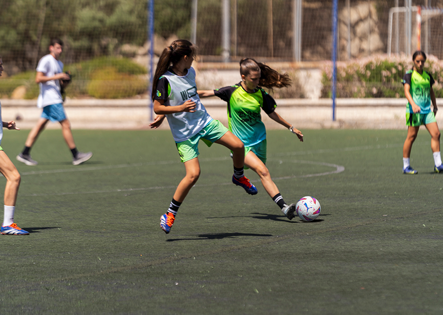 CAMPO DE CÉSPED