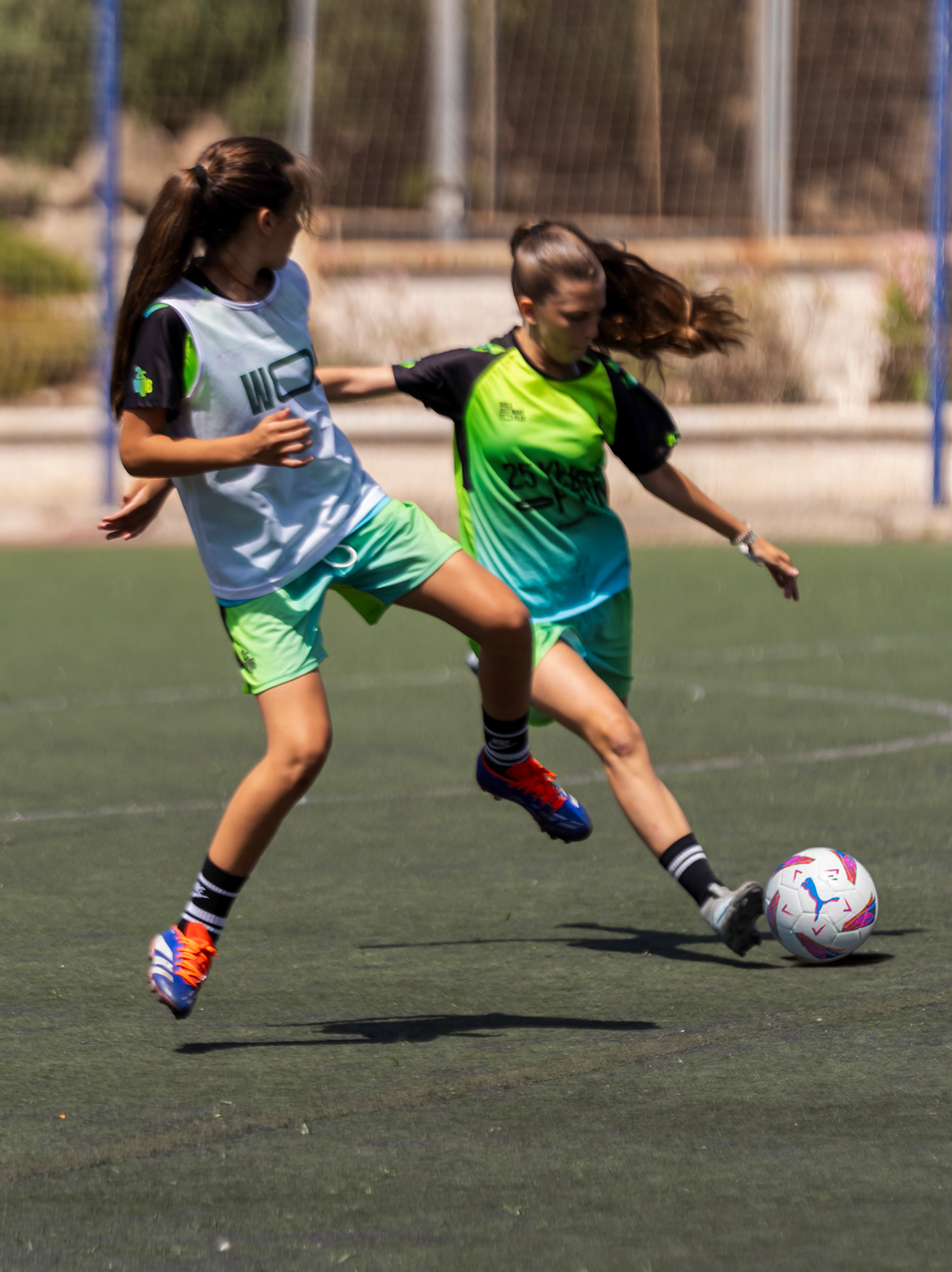 CAMPO DE CÉSPED